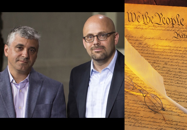 Is More Democracy Always Better?