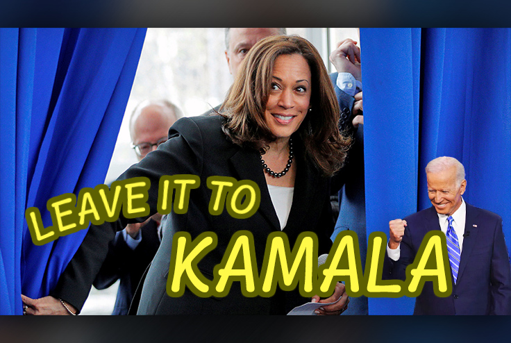 WATCH: Kamala Harris Missed Her Calling as a '90s Sitcom Star