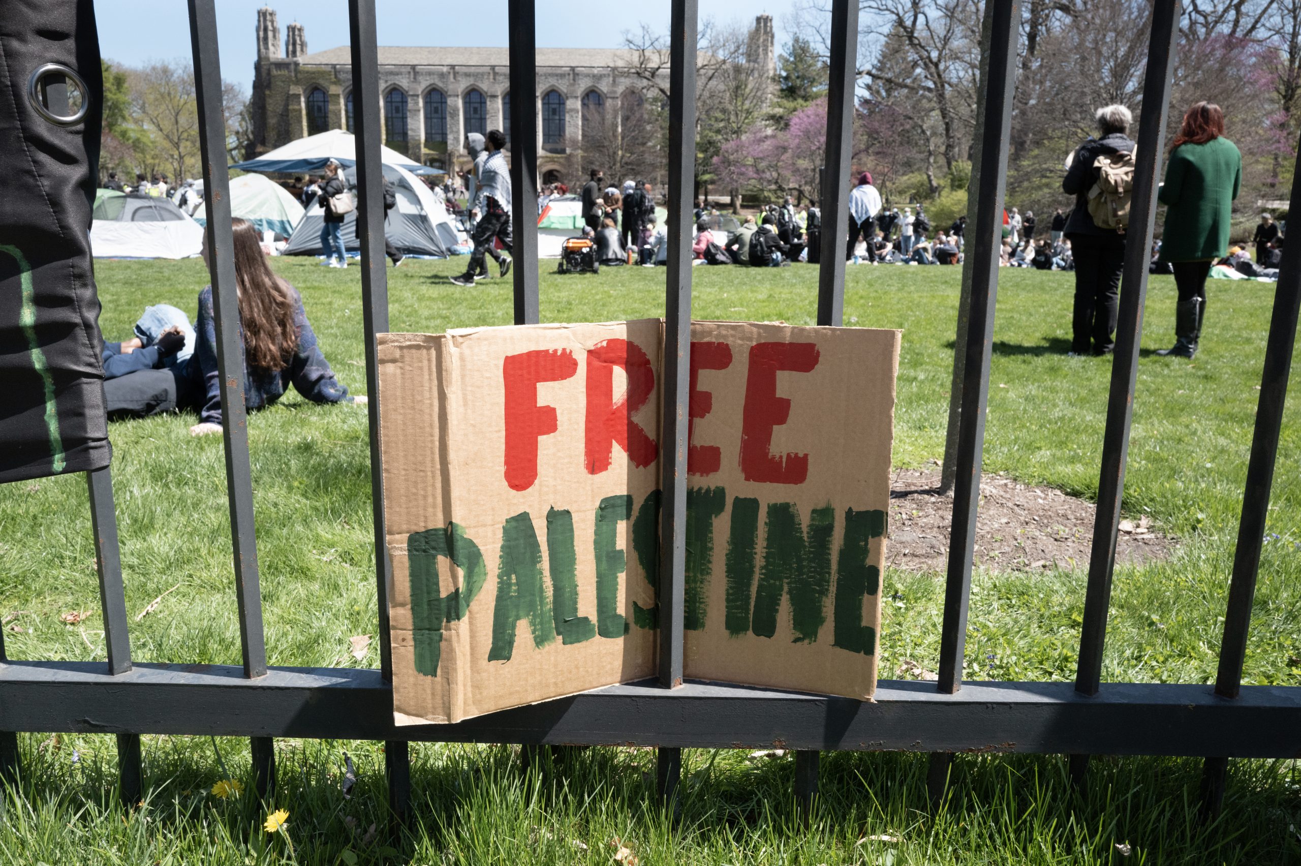Congress Probes Northwestern’s Partnership With Al Jazeera