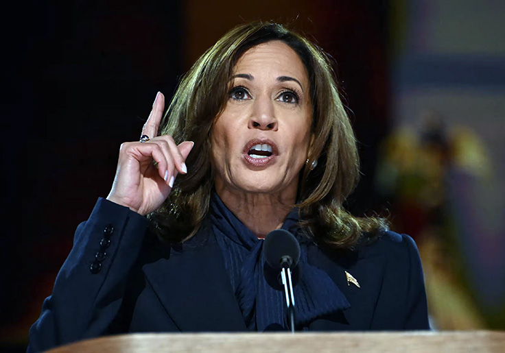 What Now? Kamala Harris Vows 'New Way Forward' After Four Years as Vice President