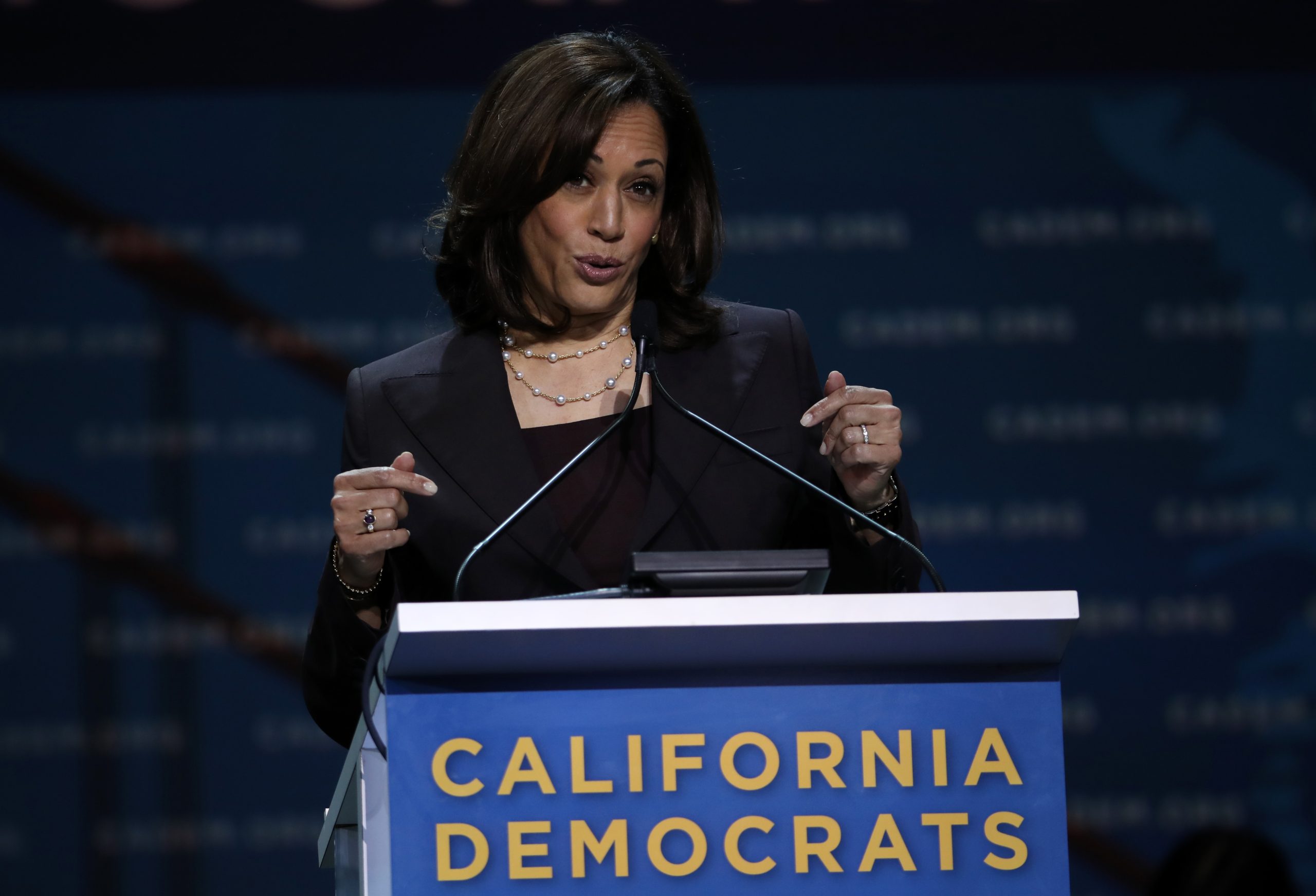 Progressive Criminal Reform Groups Criticize Harris for Calling Trump a 'Felon' 