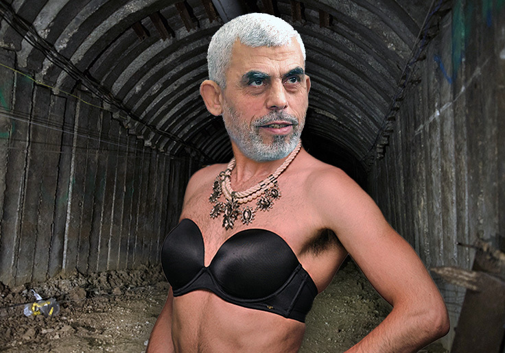 YAS Queen: Hamas Leader Yahya Sinwar Cross-Dresses To Dodge IDF: Report