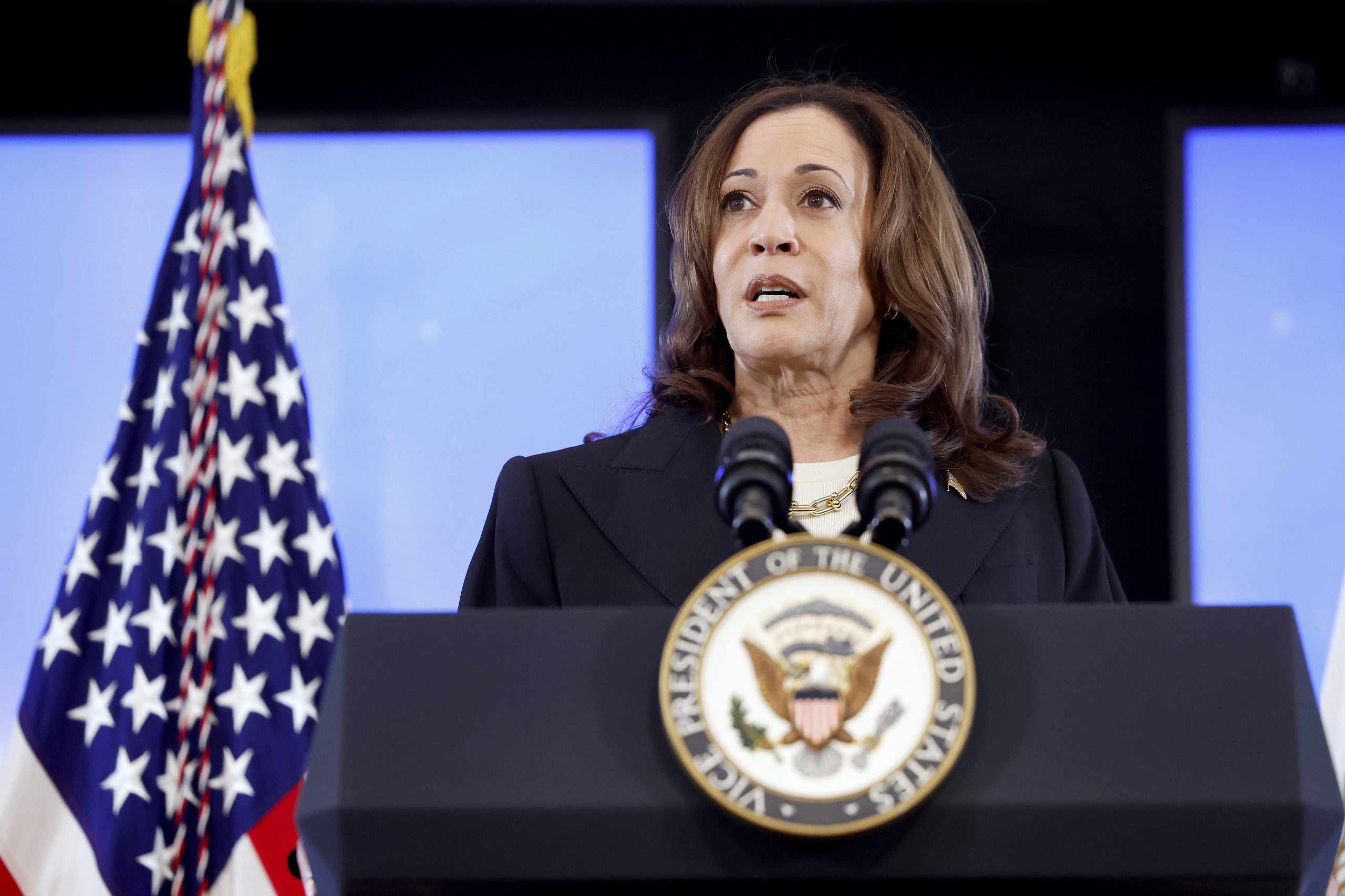 How To Understand Harris’s Shifting Policy Views