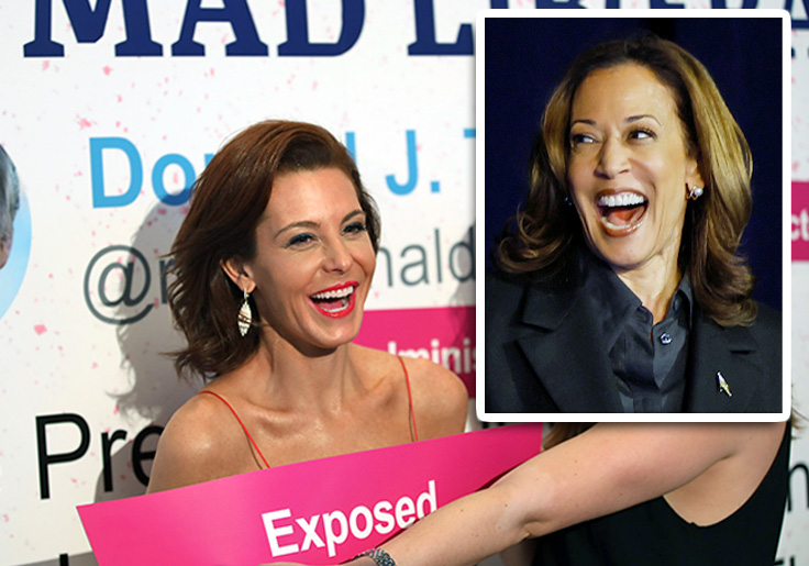 Softballs Incoming: Why Kamala Harris Chose MSNBC's Stephanie Ruhle for Her First Solo Network Interview
