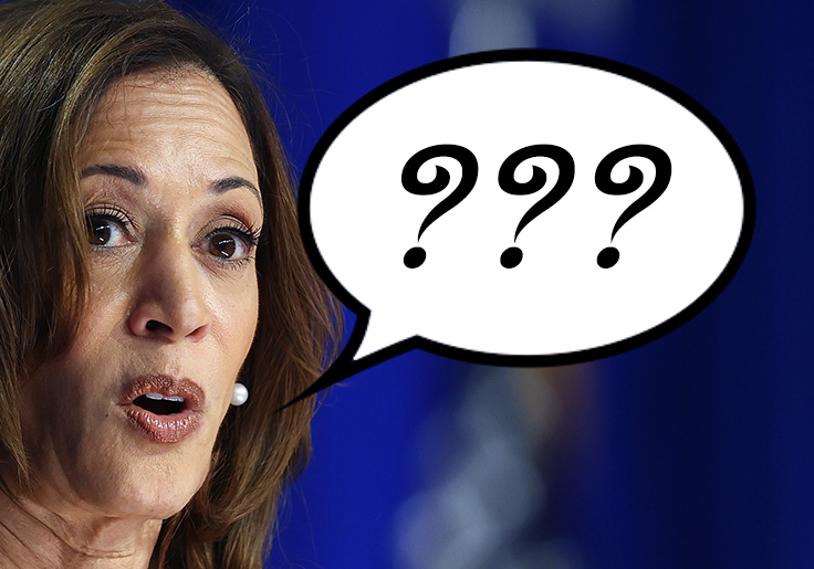 WATCH: Jewish Grandmother, African Farmer, Jamaican Pothead: The Many Accents of Kamala Harris