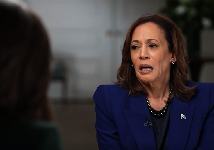 We Did It! Dems Blame Kamala’s Loss on ‘Right-Wing Media Ecosystem’ 