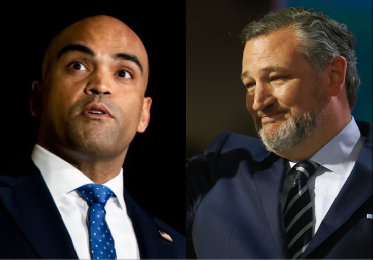 Ted Cruz Defeats Challenger Colin Allred, Squashing Democrats' Hopes To Flip Texas Seat