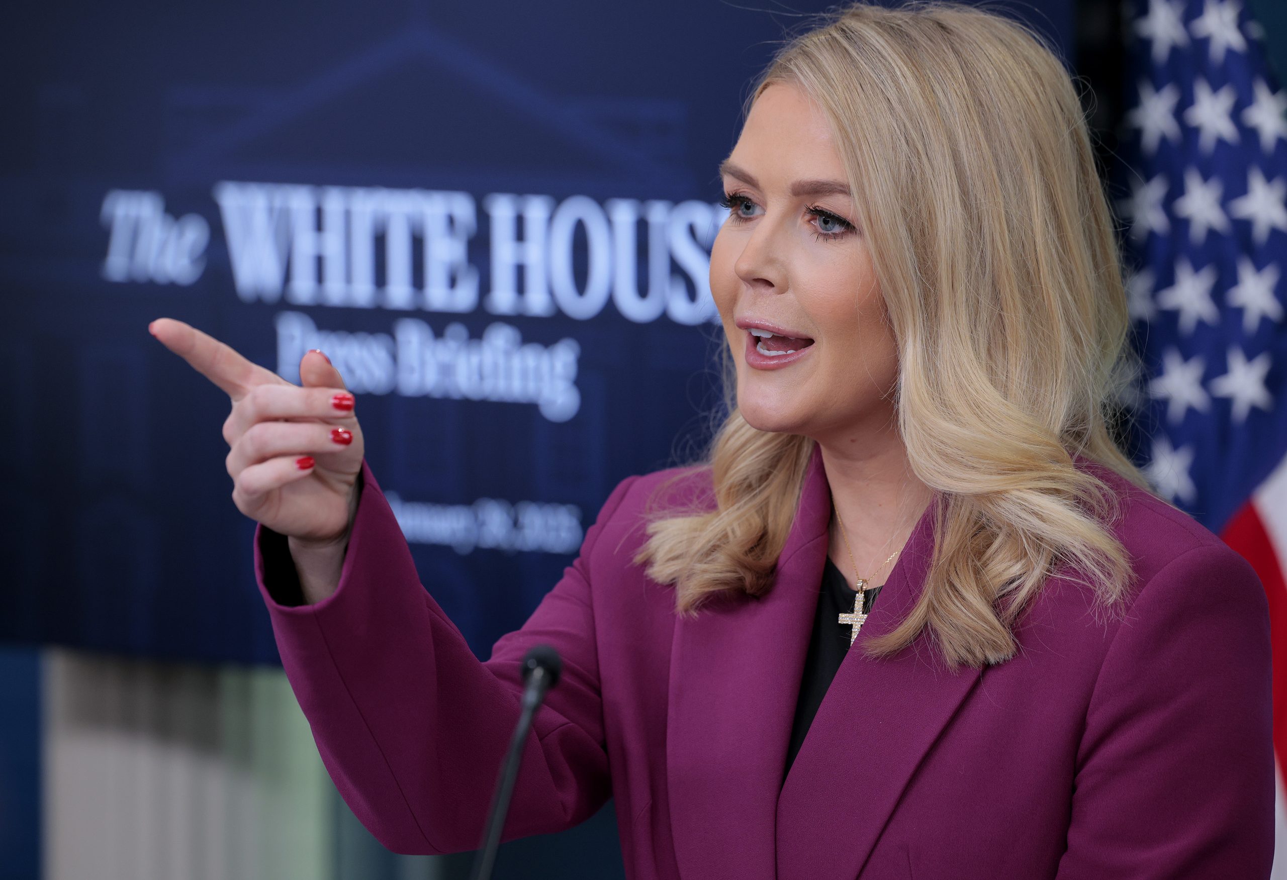 BEASTMODE: WH Press Secretary Karoline Leavitt Says All Illegal Immigrants Are Criminals (Because They're Illegal Immigrants)