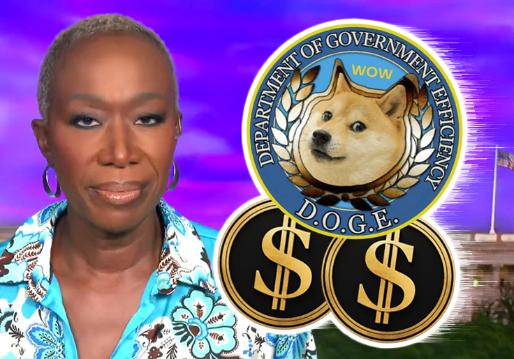 WATCH: Deep State Libs Go Ballistic Over DOGE Cuts