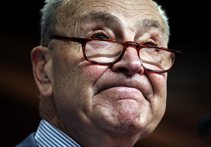 Trump Cancels $45M Green Energy Grant That Chuck Schumer Secured for His Donors
