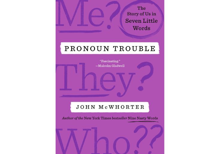 The Pronoun Wars