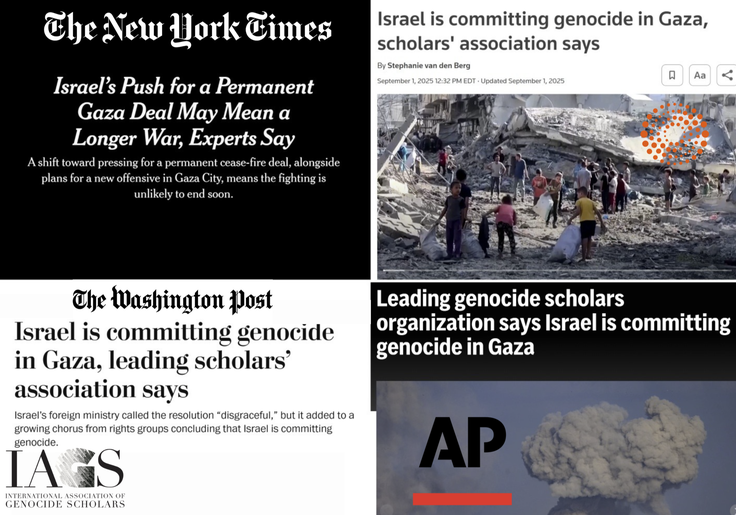 Inside the 'Leading Scholars' Association' That Declared a Genocide in Gaza. It Includes Human Rights Activists, Psychologists, Museum Professionals, and Lots of Iraqis.