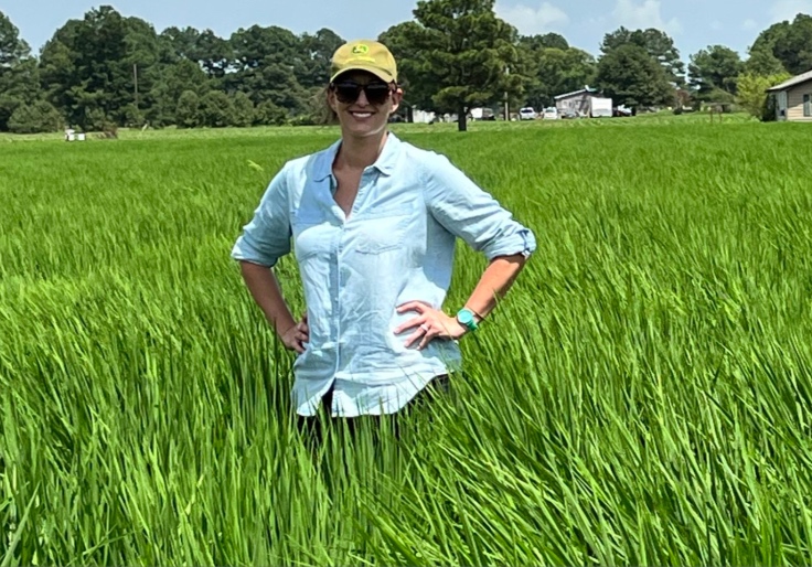 ‘I Would Not Spend One More Dime’: Arkansas Dem Senate Candidate Calls To Defund ICE