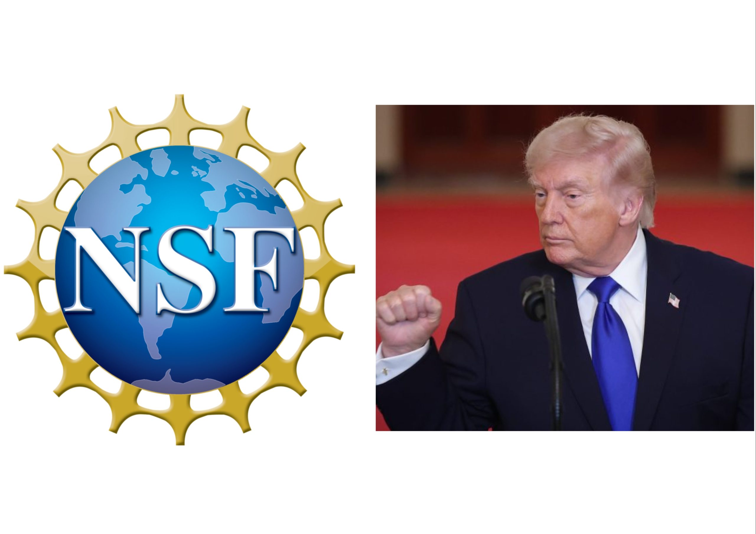 EXCLUSIVE: Share of NSF Grants With DEI Language Reaches Lowest Point Since 2001