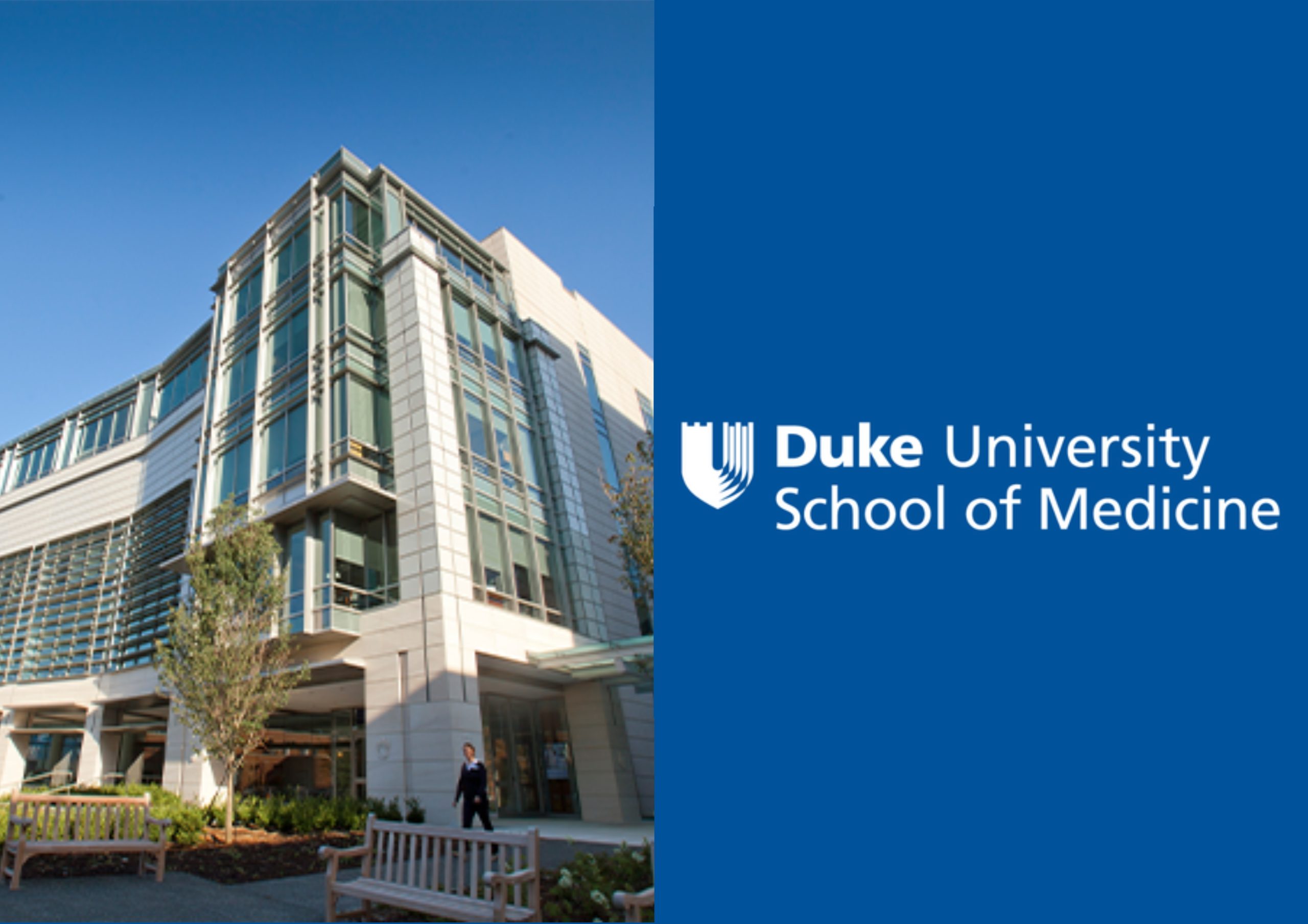 US-Gesundheitsbehörde wirft Duke Medical School Diskriminierung weißer und asiatischer Bewerber vor